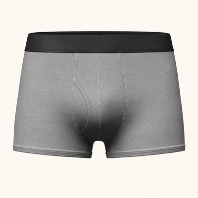 Briefs