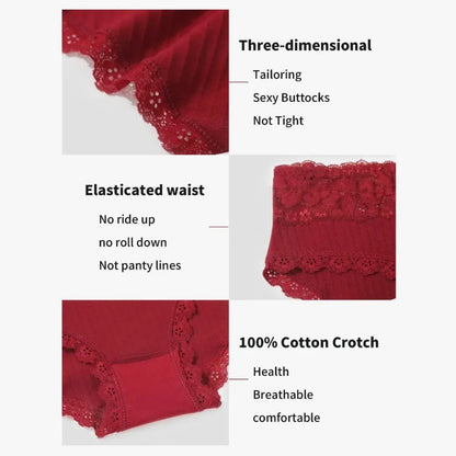 6-Pack Cotton Lace Bikini Panties