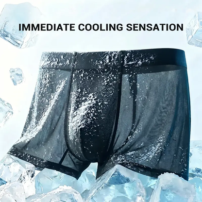 2/4-Pack Men's Ice Silk Boxer Briefs Ultra Thin Cooling Breathable Underwear